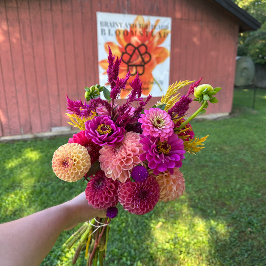 A hand holding a vibrant bouquet of freshly harvested dahlias and zinnias in shades of pink, purple, peach, and yellow, set against a red barn wall with a 'Bloomstead' sign and a green grassy field.
